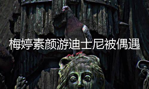 被偶梅婷游迪遇 一家低调排队接地气素颜士尼四口