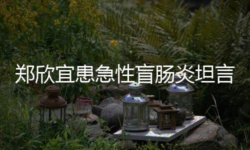 盲肠宜患炎坦言过公开苦 郑欣住院急性分痛程十手术视频